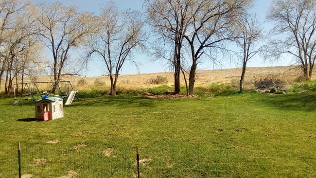 Shared big backyard - 2345 Gail Drive