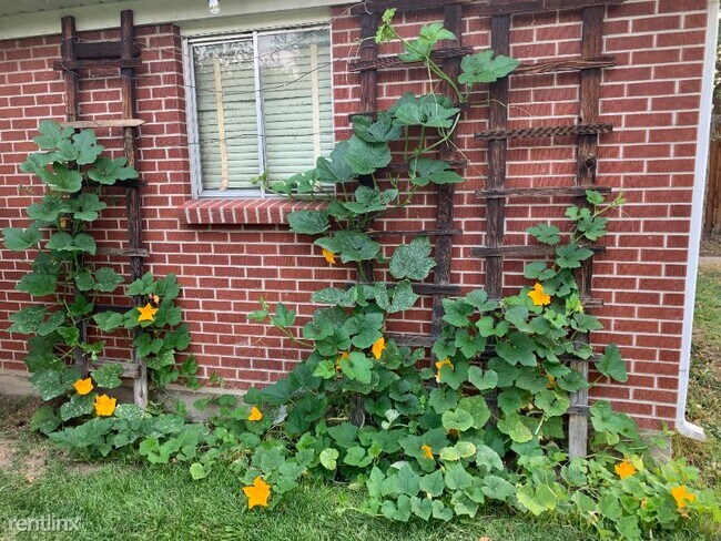 Building Photo - 1160 S Harrison St