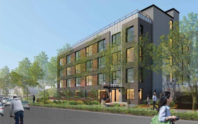 Primary Photo - Maple Leaf Lofts