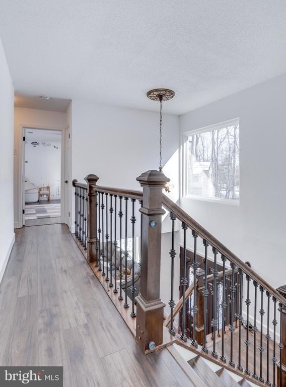 Building Photo - 5704 Wood Duck Ct