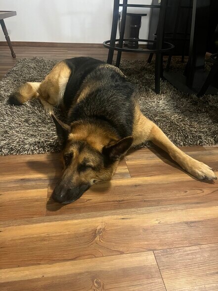 Building Photo - 5711 N Hermosa Ct