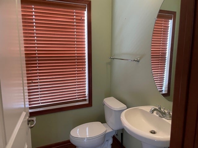 Building Photo - 2148 Cedar Grove Trail