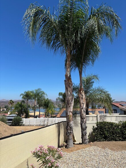 Lake view from backyard - 22471 Loch Lomond Dr