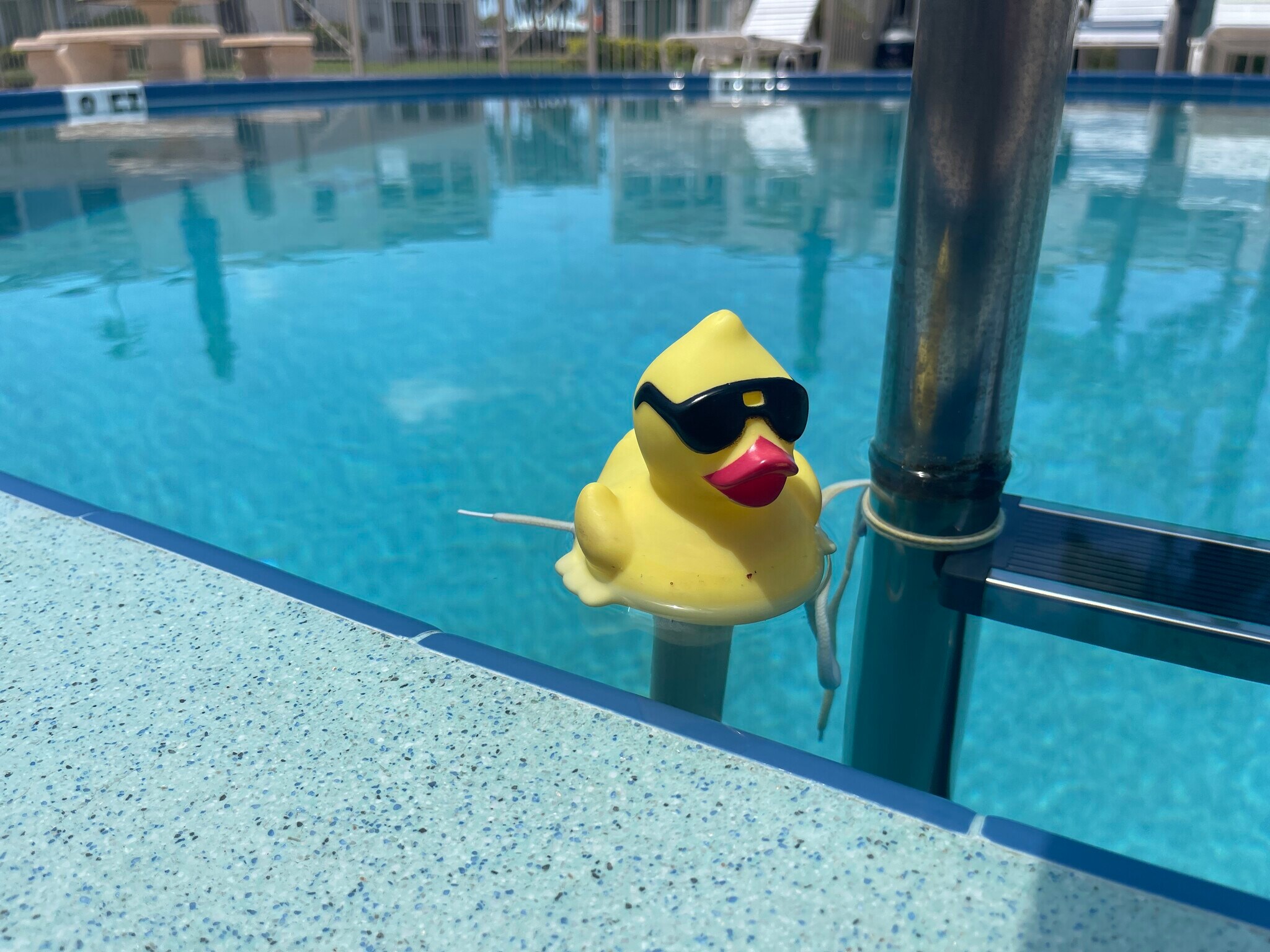 Just chilling at The Gardens! - 218 Dogwood Cir