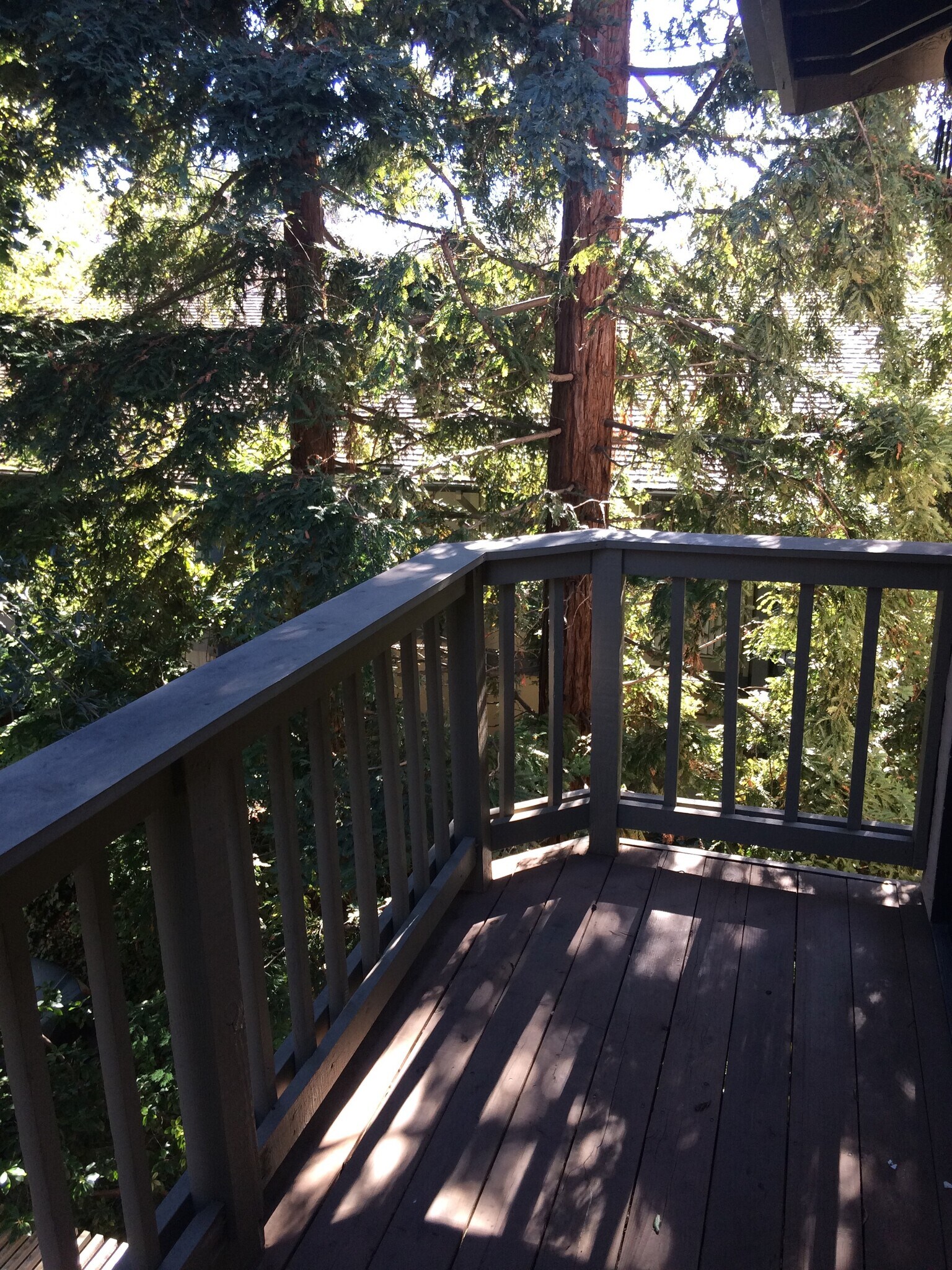 Deck - 1907 Magdalena Cir