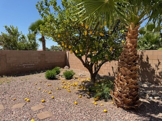 Building Photo - 3BR WINTER Vacation Home with Utilities Incl & RV PAD & Hookups, AVAILABLE 11-19-25