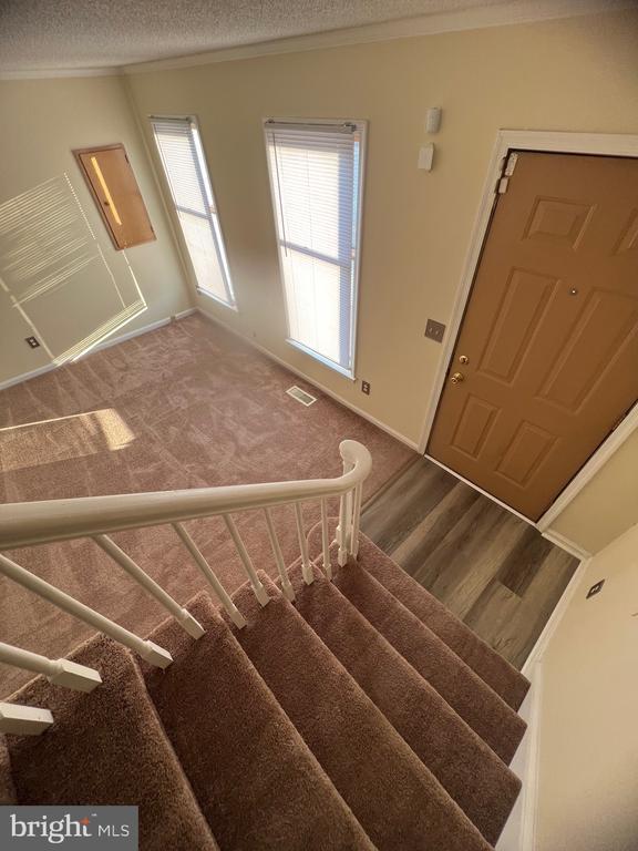 Building Photo - 1219 Apple St