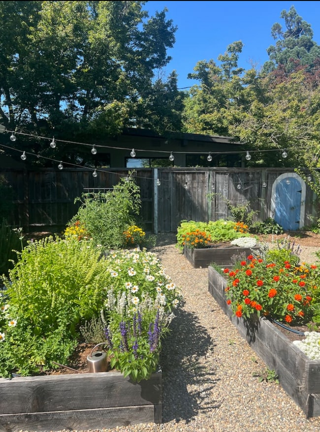 Building Photo - 902 Harold Ln