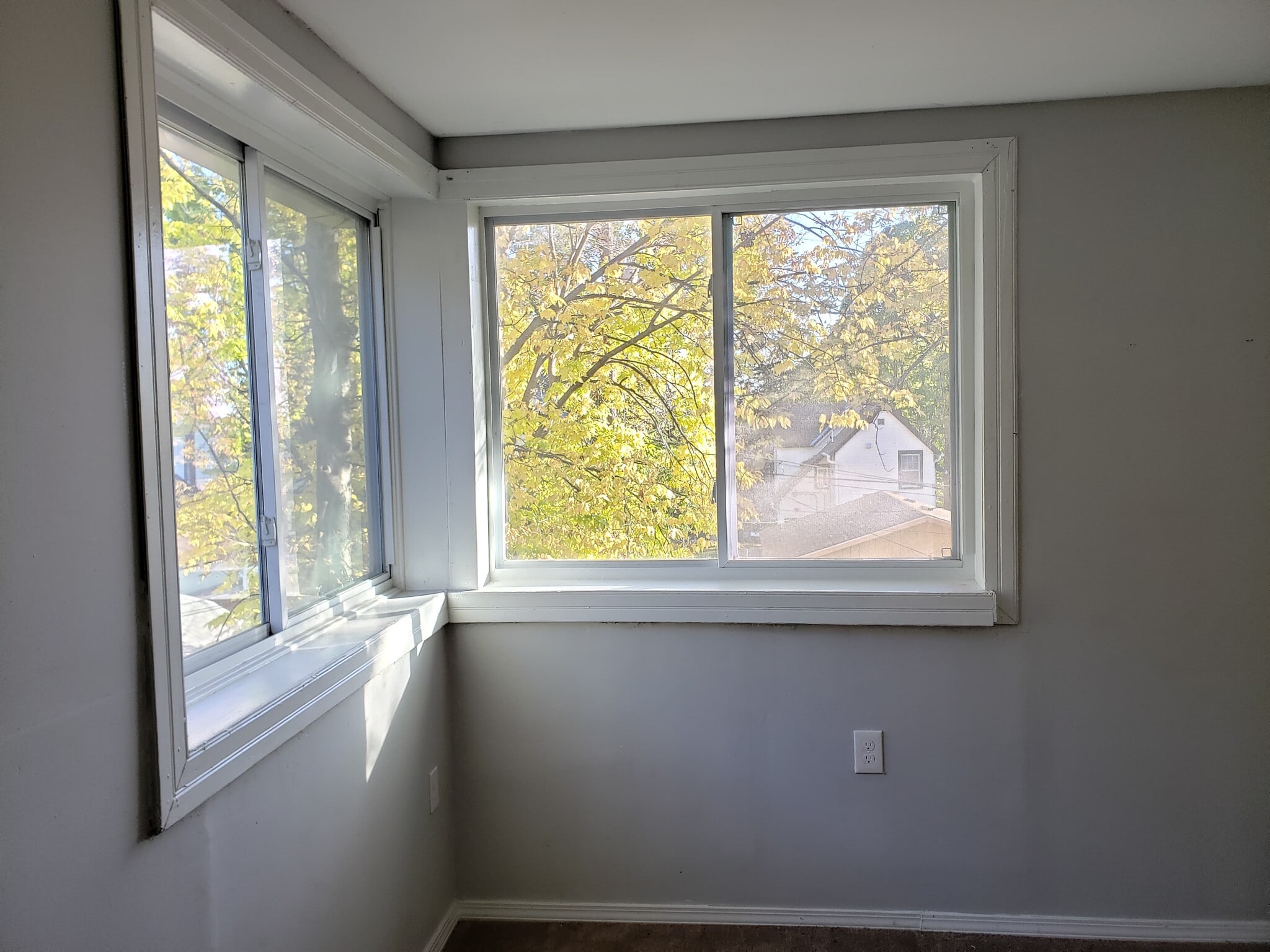 Bedroom 1 - 678 Jessamine Ave E