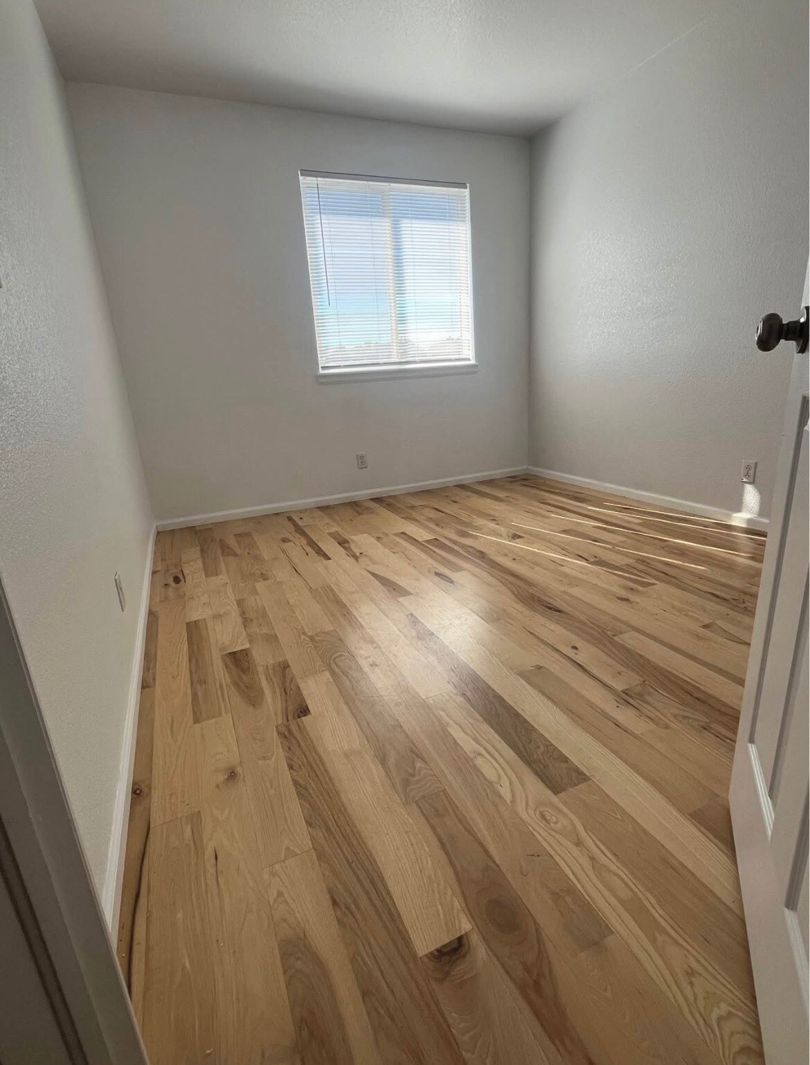 Building Photo - 536 W 91st Cir