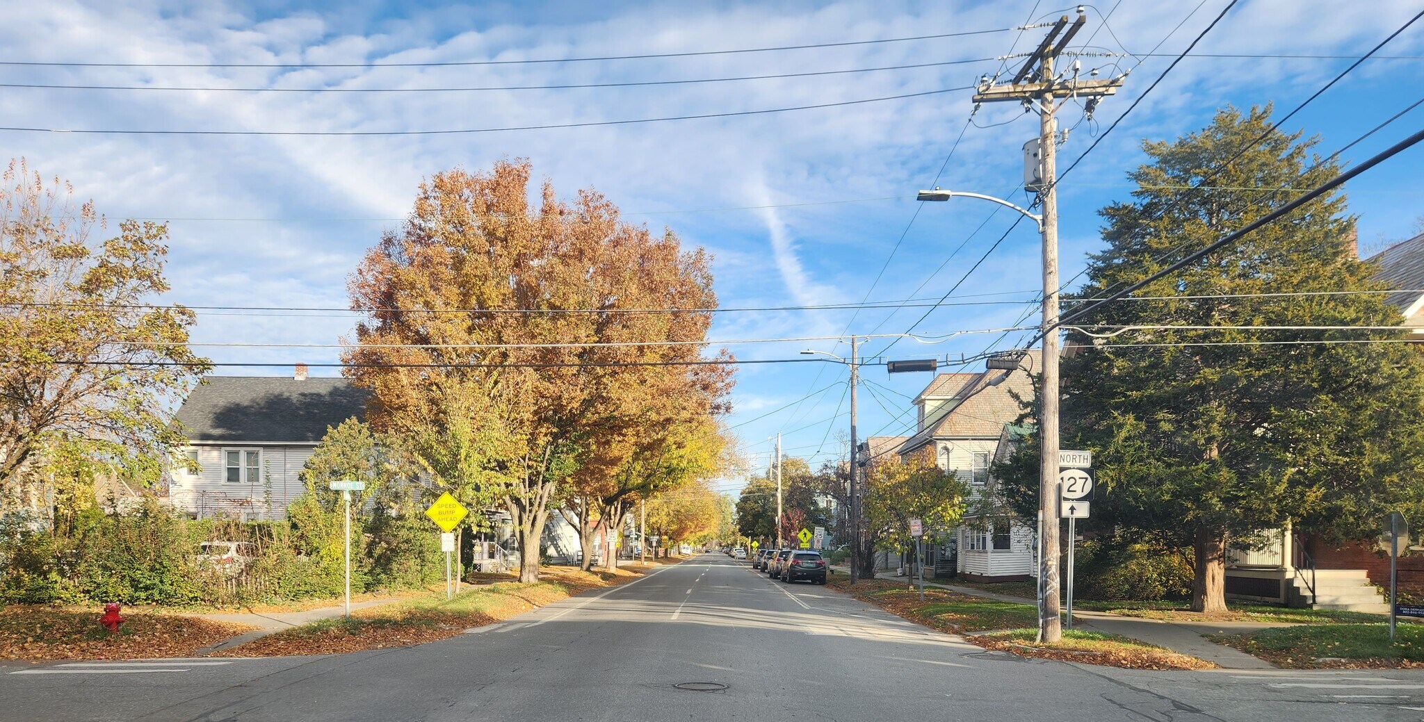 Leafy Neighborhood! - 204 N Champlain St