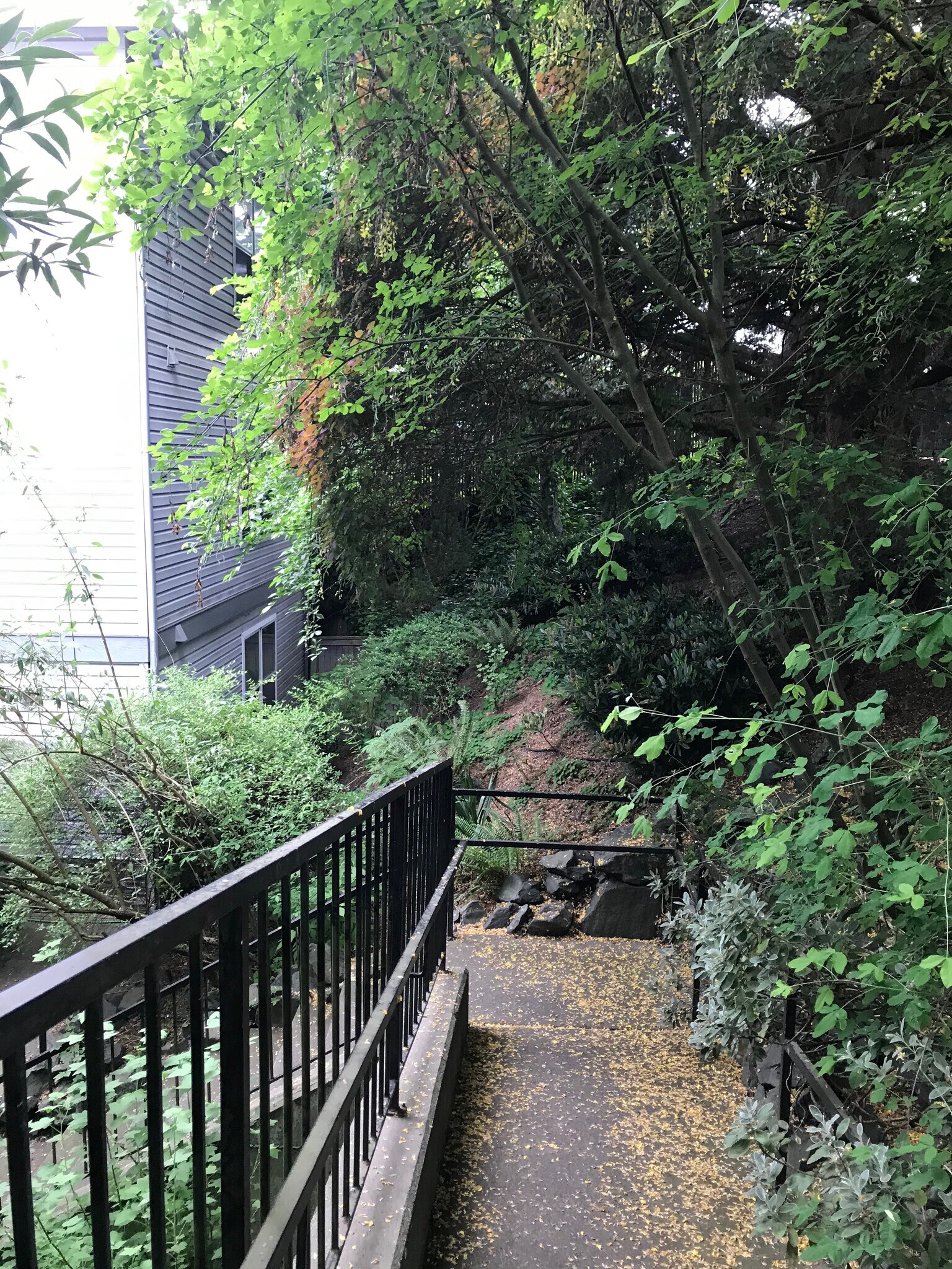 Building Photo - 132 24th Ave E