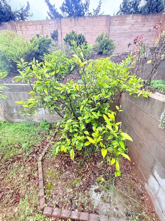 Building Photo - Pet-Friendly 2-Bedroom ADU in Orcutt – Utilities Included & Section 8 Welcome!