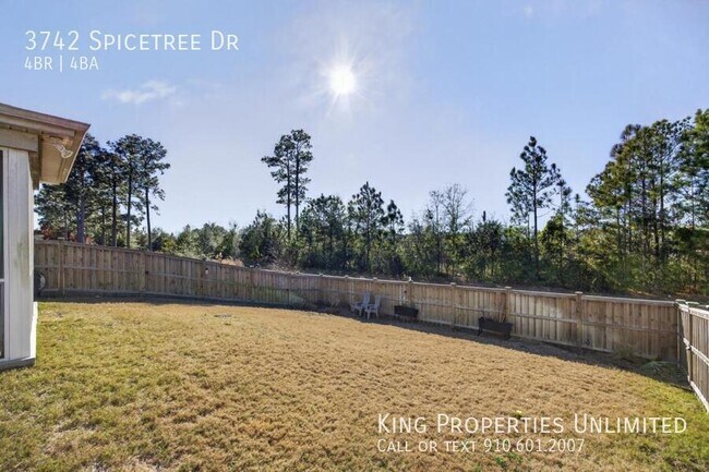 Building Photo - 3742 Spicetree Dr
