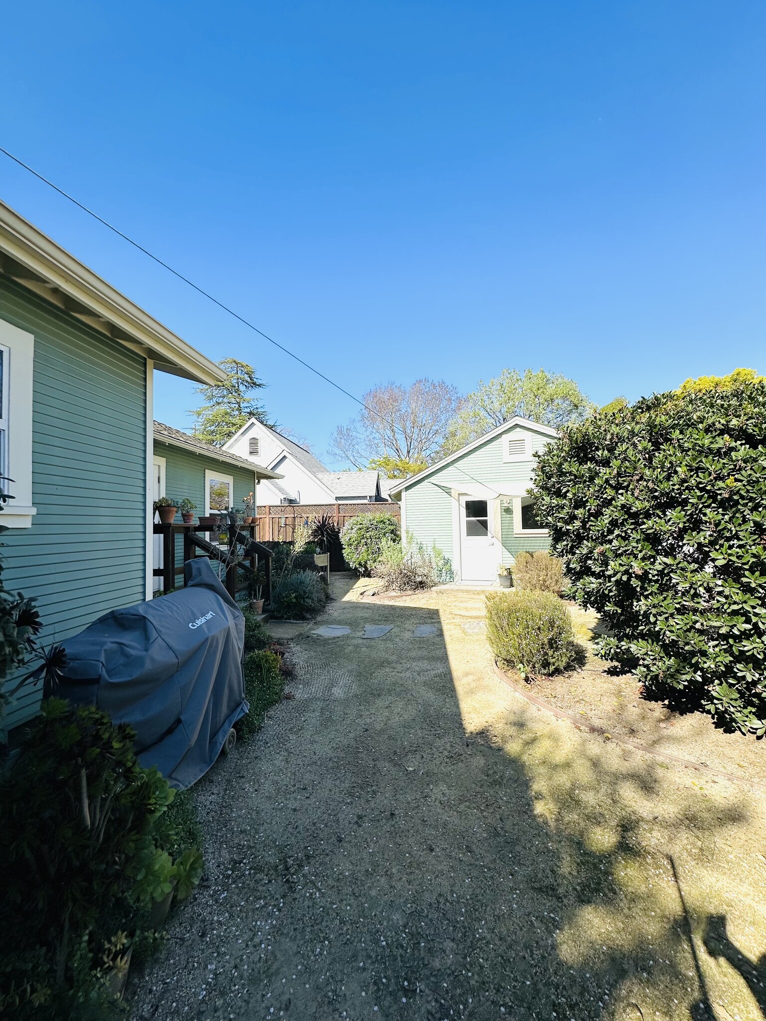 Back yard - 504 Montgomery St