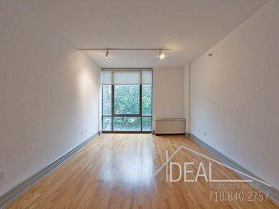 Primary Photo - 1 bedroom in brooklyn NY 11201