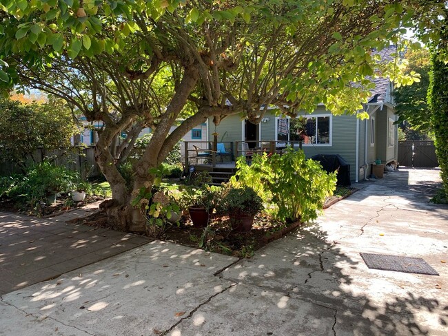 Building Photo - large home in the heart of Berkeley with a...