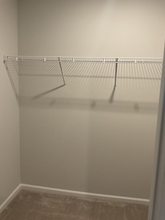 Building Photo - 8147 Forest Edge Dr