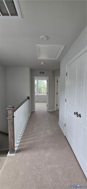 Building Photo - 567 Sybil St