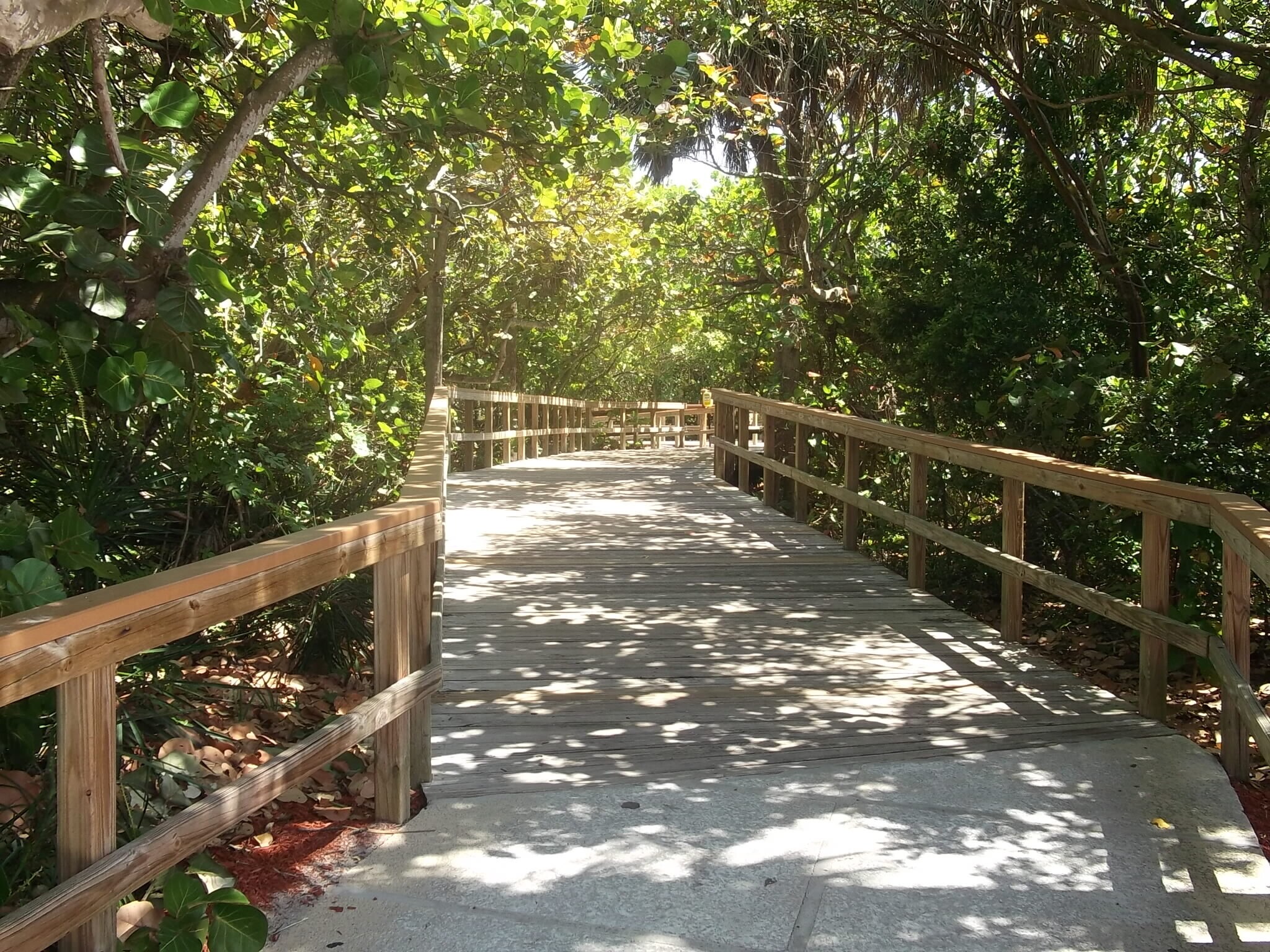 Building Photo - 951 De Soto Rd