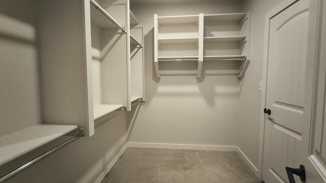 Building Photo - 1215 Sierra Ln