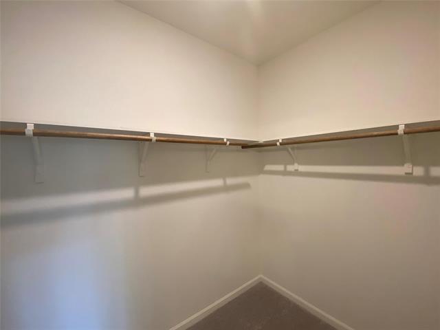 Building Photo - 1617 Shadow Hawk Dr
