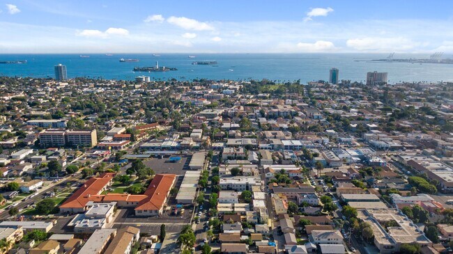 Building Photo - 441 Dawson Avenue