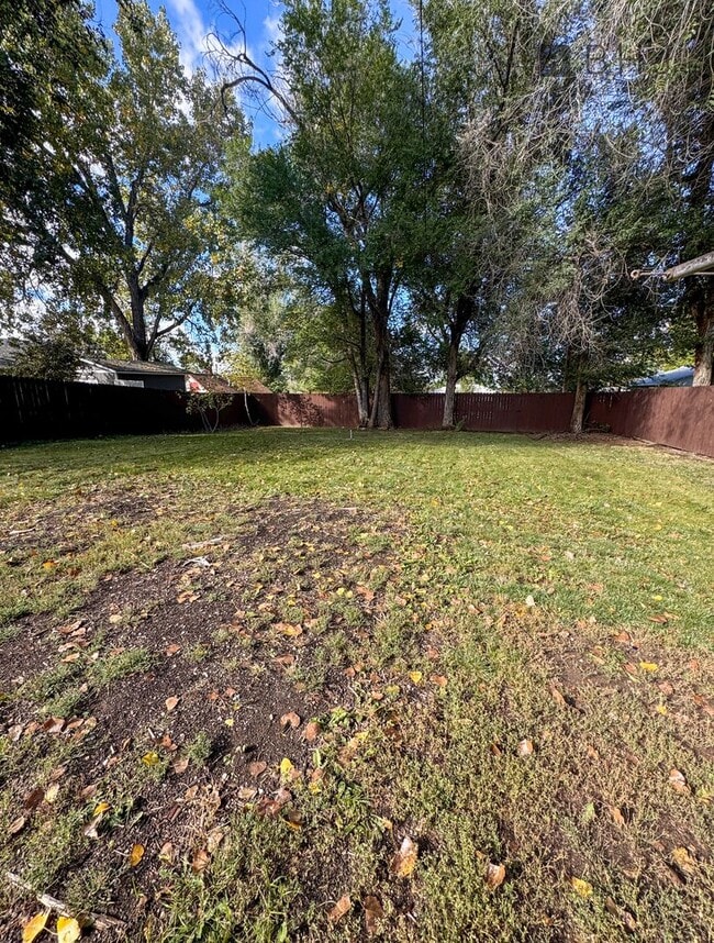 Building Photo - DOG FRIENDLY, 3 BED/ 1.5 BATH SINGLE FAMIL...