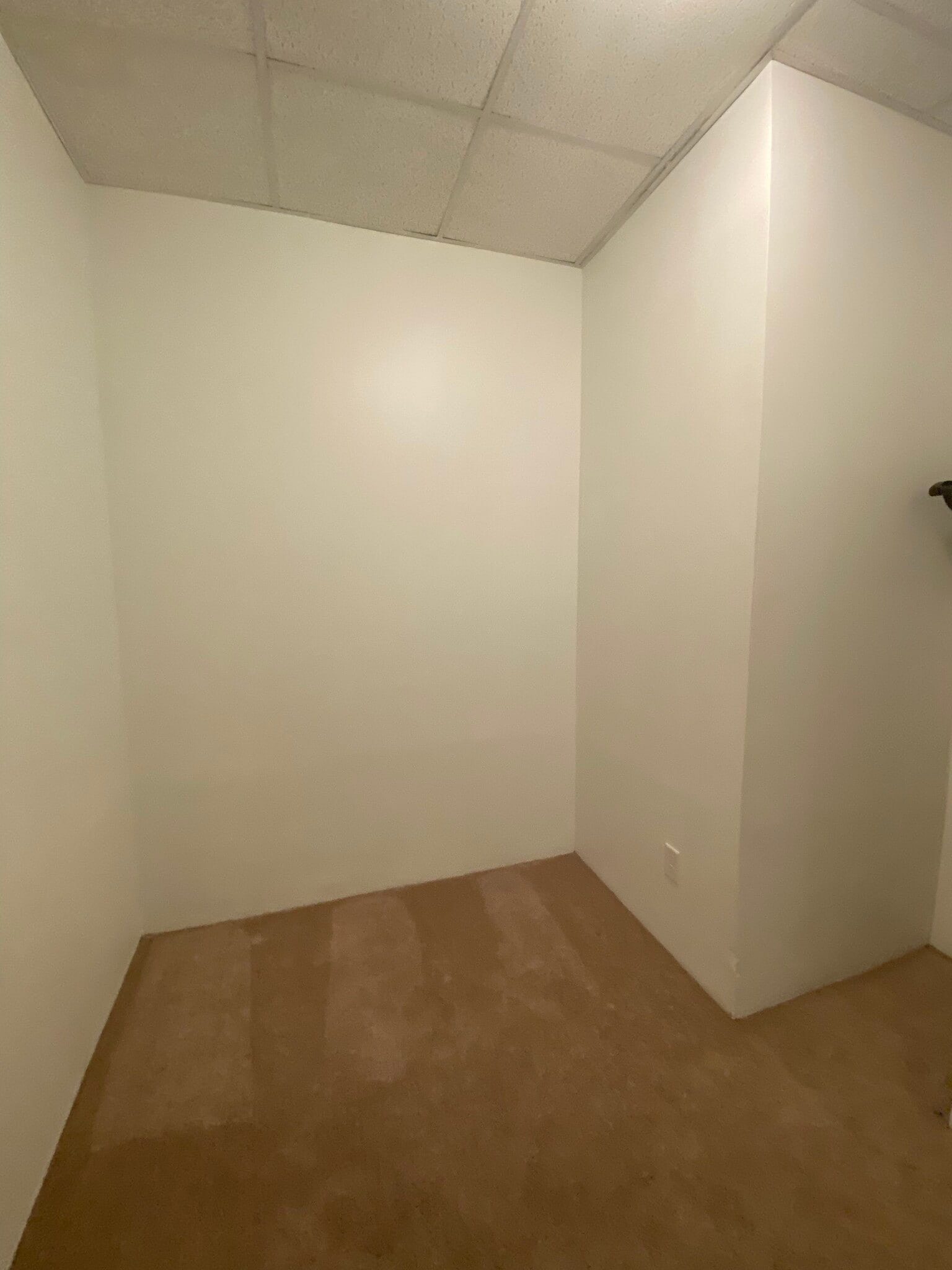 Building Photo - 514 Ivy St