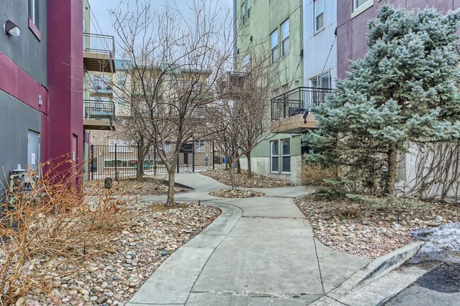 Building Photo - Bright & Spacious Studio in LoHi - Avail. ...