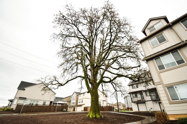 Building Photo - Beautiful 4 Bedroom 3.5 BA Home! Mother in Law Suite, Attached Garage & Top floor Bonus Room!