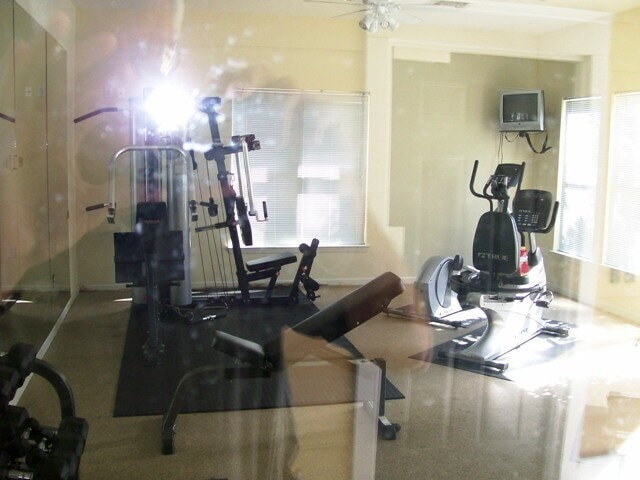 Building Photo - 400 Bucksley Ln