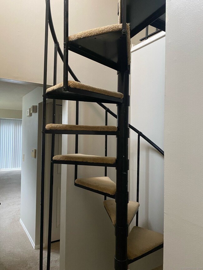 Building Photo - 3 Cinnamon Spring