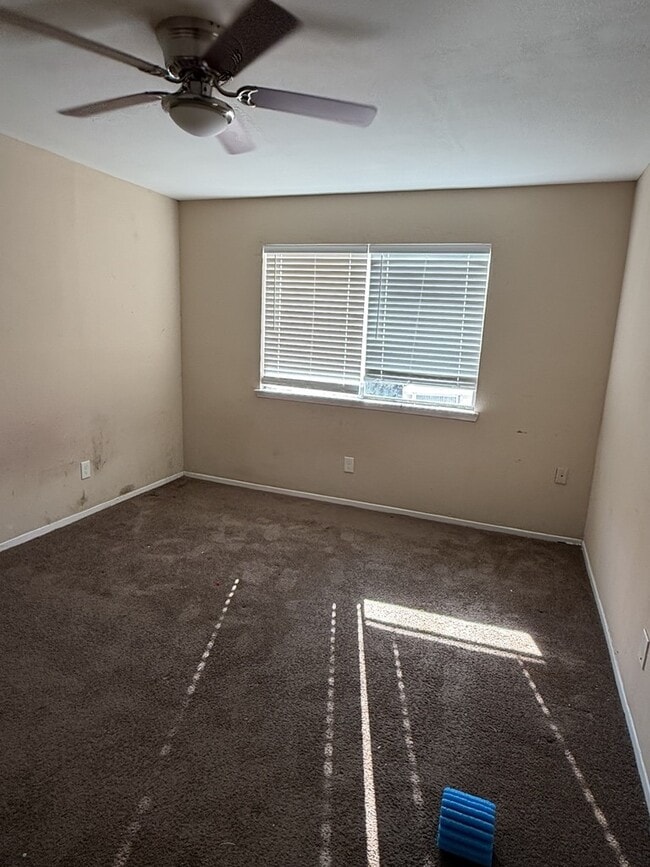 Building Photo - 13711 Carsa Ln