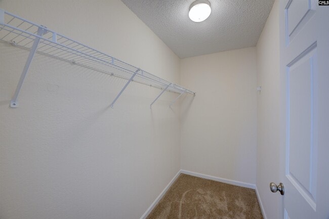 Building Photo - 226 Windsor Village Dr