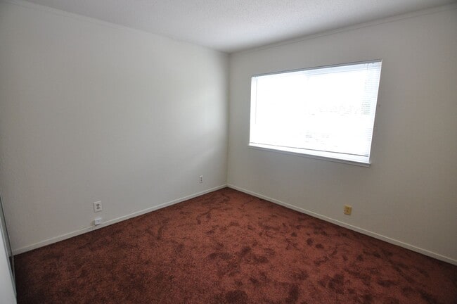 Building Photo - 532 Tyrella Ave