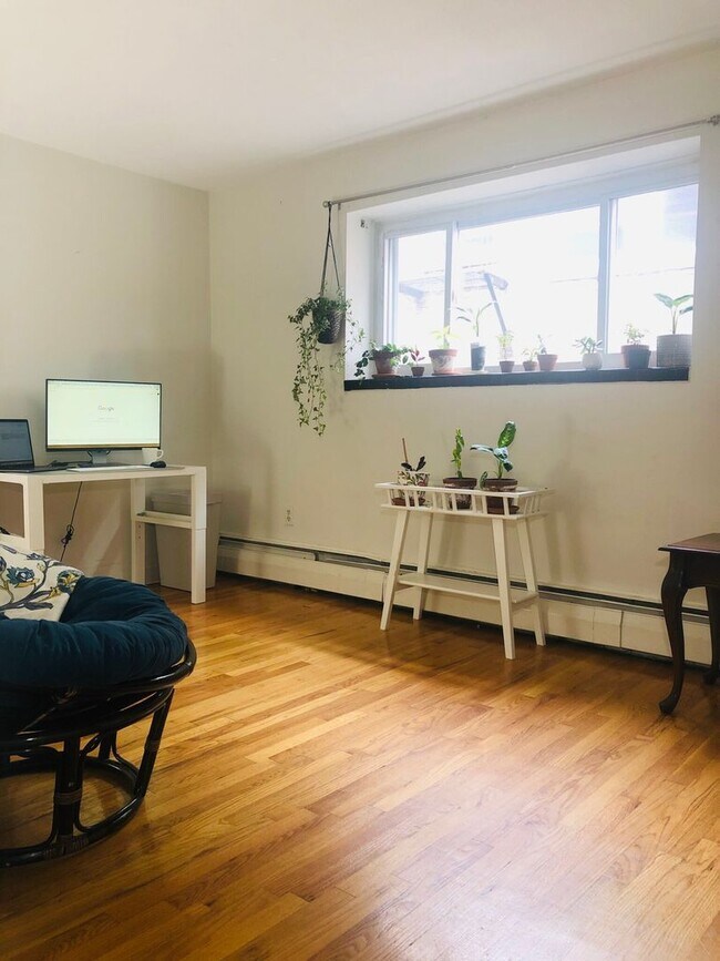 Building Photo - Amazing 2 bed in Allston 5 min away from Brookline... BROKER FEE PAID BY LANDLORD