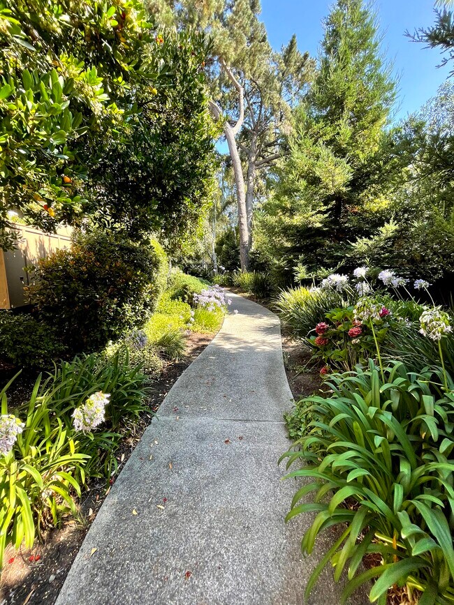 Pathway - 2450 W Bayshore Rd