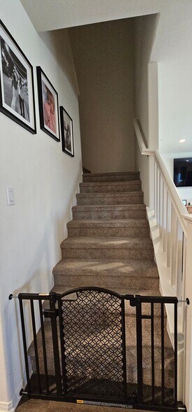 Stairs - 11386 Dunhaven Way