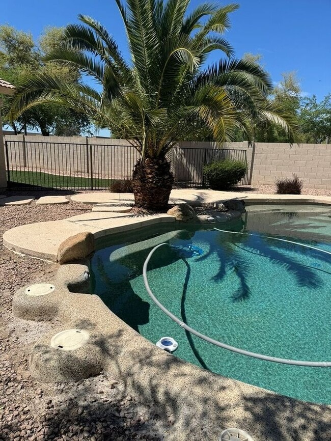 Building Photo - Beautiful 4 Bedroom Home with Private Pool