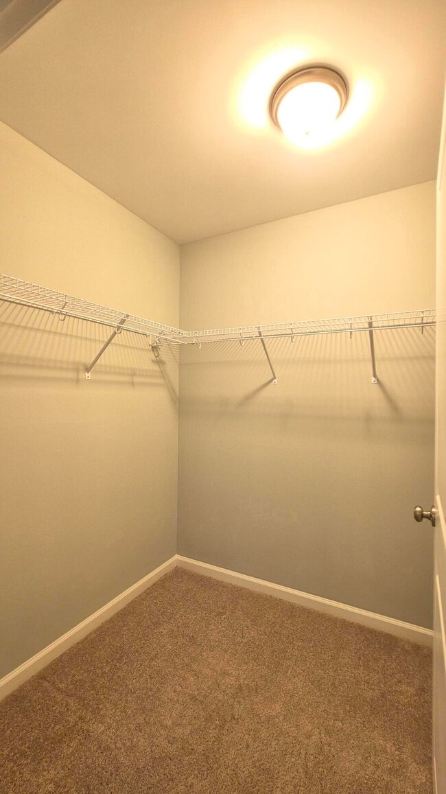 Building Photo - 588 Brushwood Dr