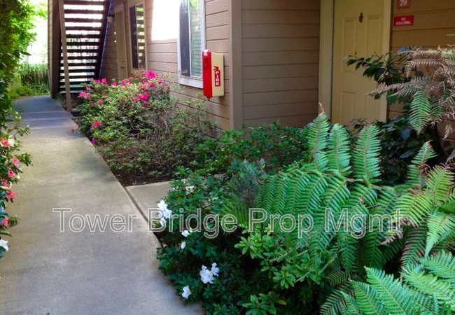 Building Photo - 11150 Trinity River Dr