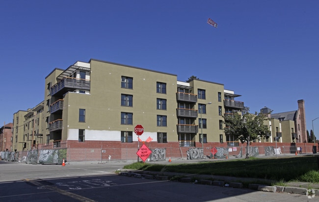 Primary Photo - Terraza Palmera at St. Joseph's