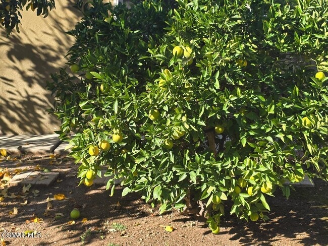 Building Photo - 1404 Suffolk Ave