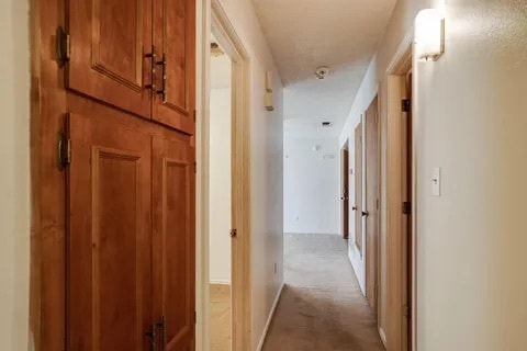 Building Photo - 2704 Tampico Dr