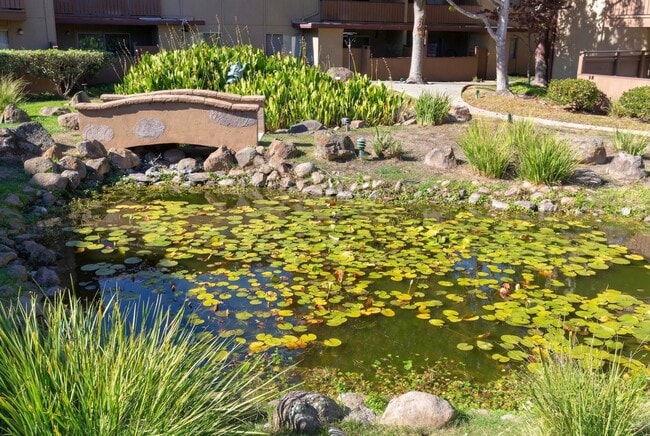 Building Photo - Modern 2-Bedroom Condo with Pool and Koi Pond Views