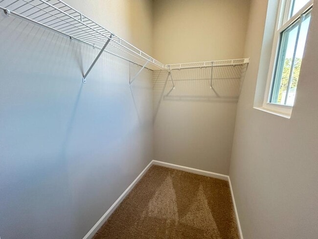 Building Photo - 762 Sturdy Root Pl