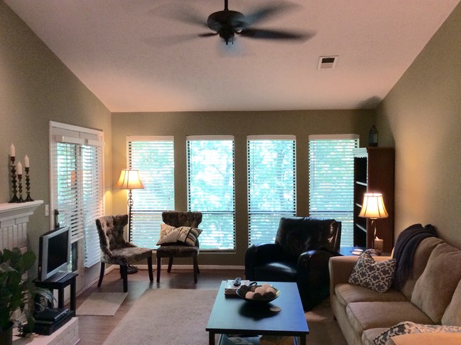 Family Room - 329 Warm Springs Cir