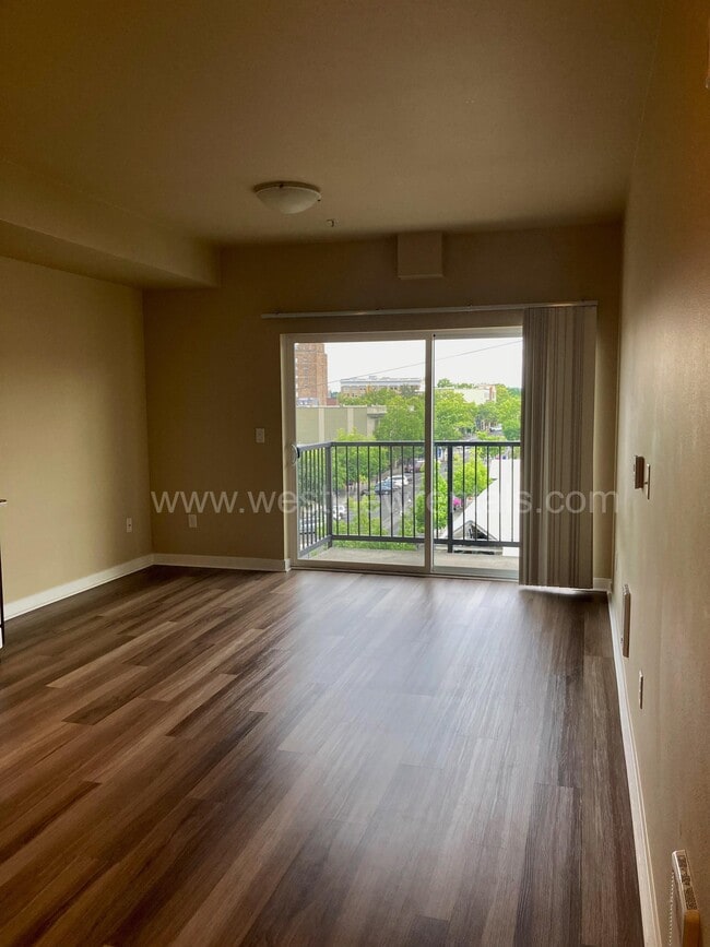 Interior Photo - Shearwater