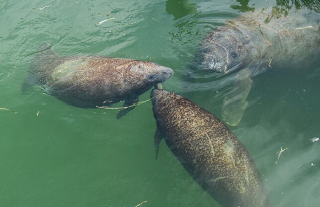 Building Photo - 480 Sail Ln